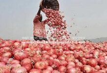 ভারতীয় পেঁয়াজের প্রথম চালান দেশে এসে পৌঁছেছে পেঁয়াজ