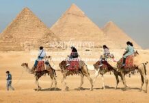 রমজান মাসে বিদেশ ভ্রমণে যাচ্ছেন? এই বিষয়গুলো মাথায় রাখুন যে দেশেই যান, সেখানের মানুষের জীবনযাত্রা অনুসরণ করতে চেষ্টা করুনছবি: পেক্সেলস ডটকম